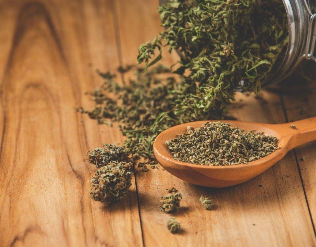 tipos de extrato de cbd