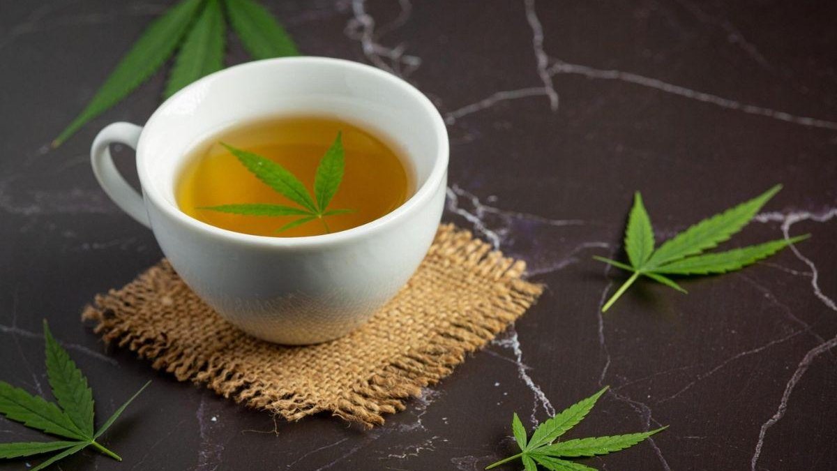 chá de maconha