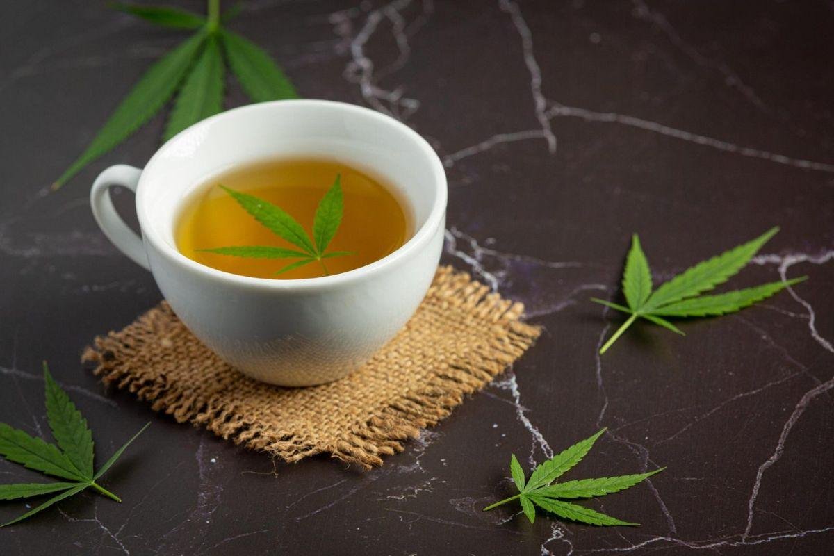 chá de maconha