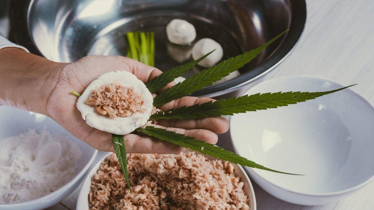 receitas com canabidiol