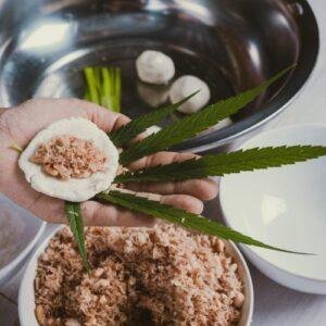 receitas com canabidiol