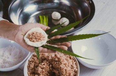 receitas com canabidiol