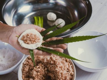 receitas com canabidiol