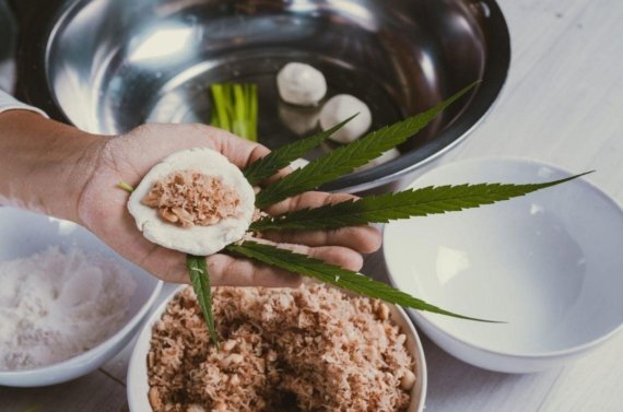 receitas com canabidiol