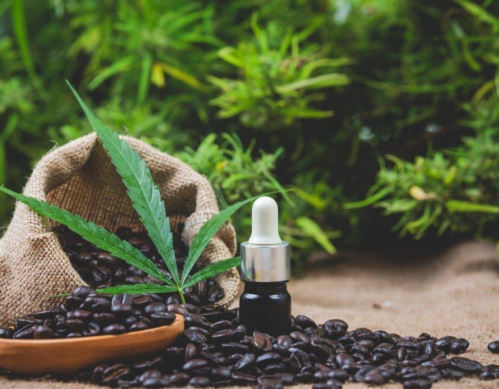CBD e o Metabolismo: Canabidiol Engorda ou Emagrece? 1 canabidiol emagrece?