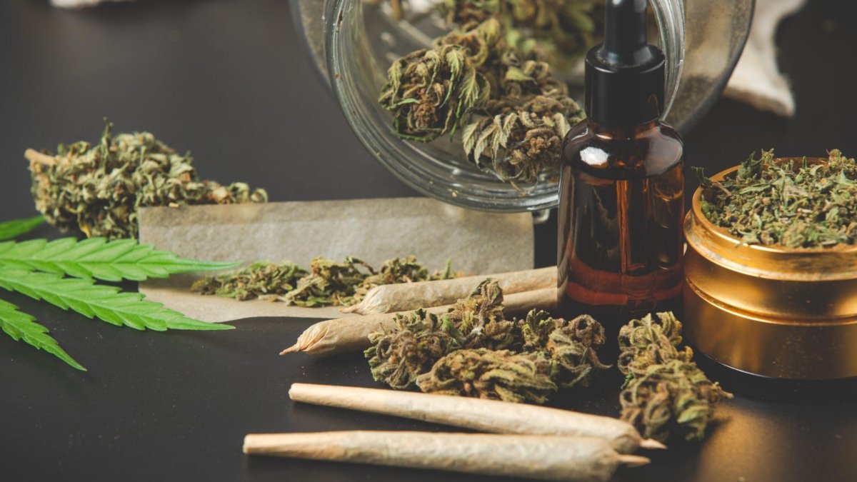 Cbd vicia