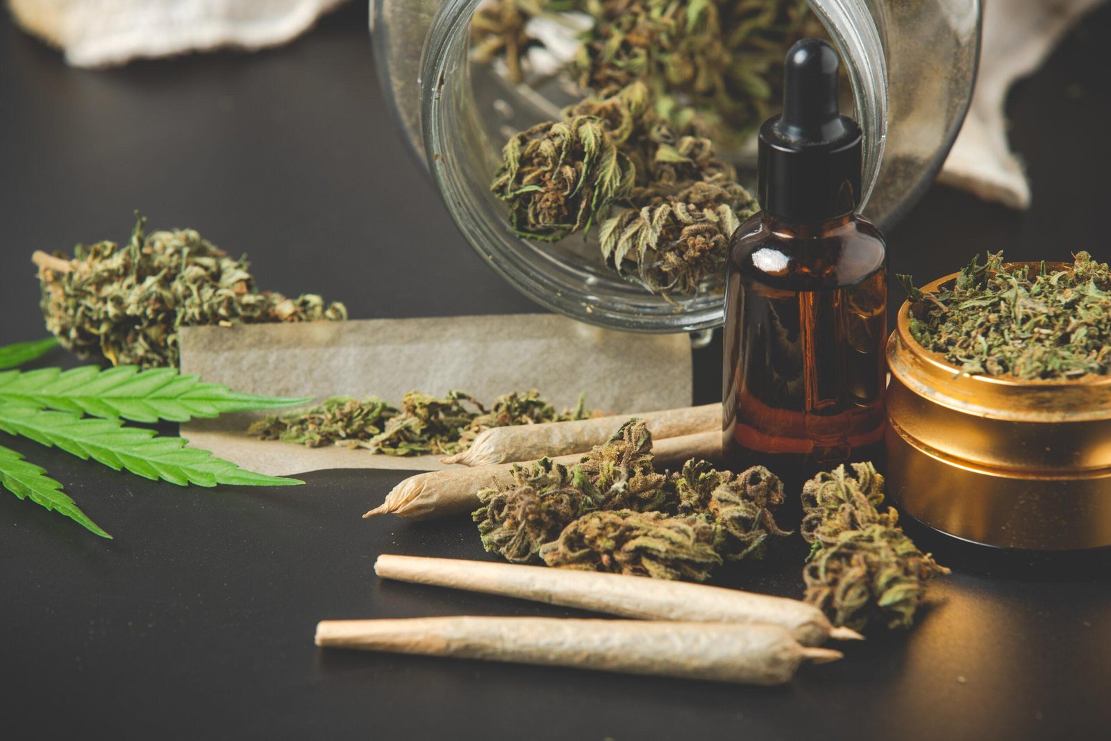 Cbd vicia